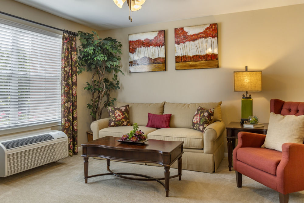 Apartment Living Room