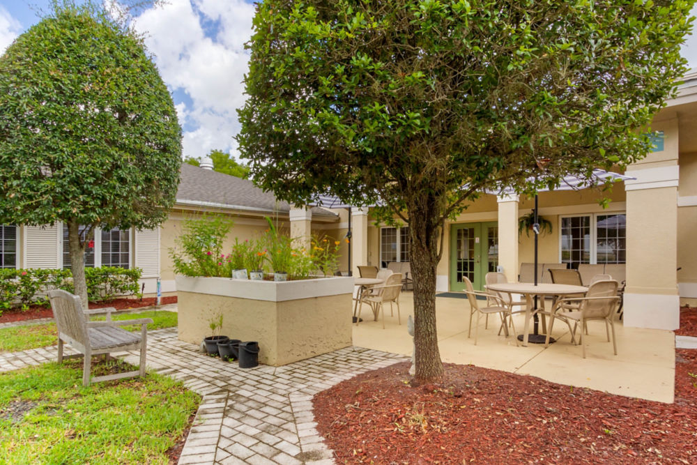 Fort Meyers The Colony Courtyard