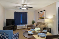 Apartment Living Room