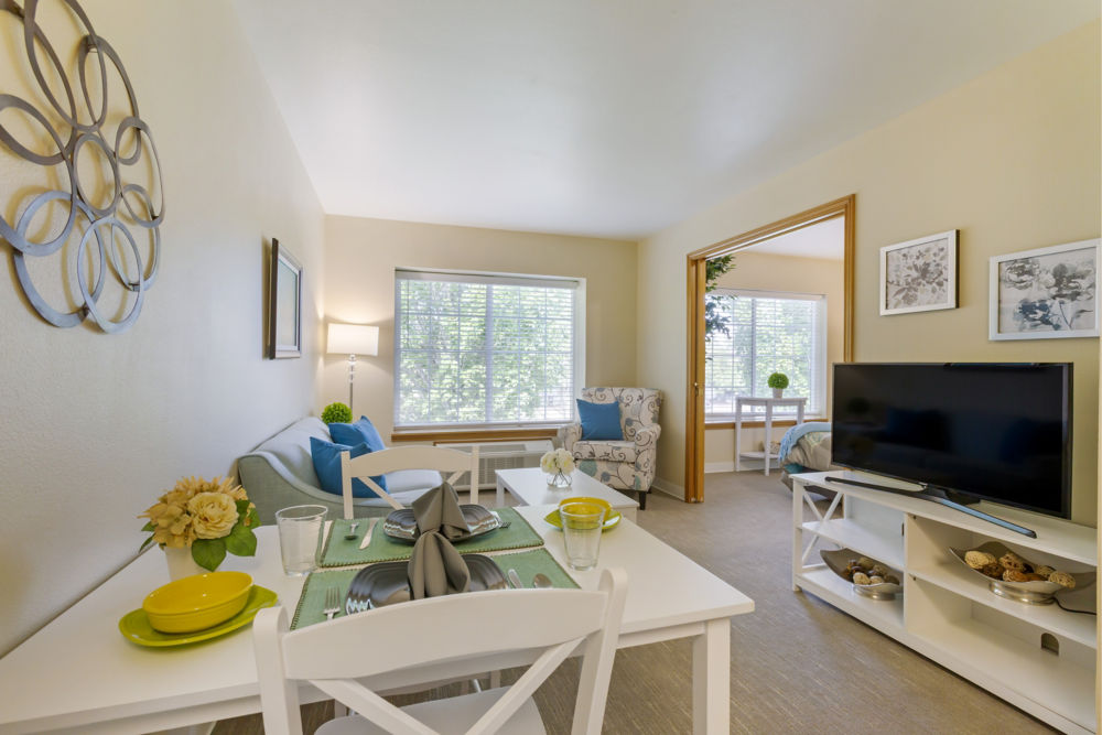 Apartment Living Room