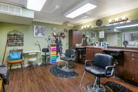 Salon
