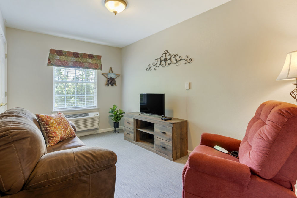 Greenville Tn Apartment Living Room