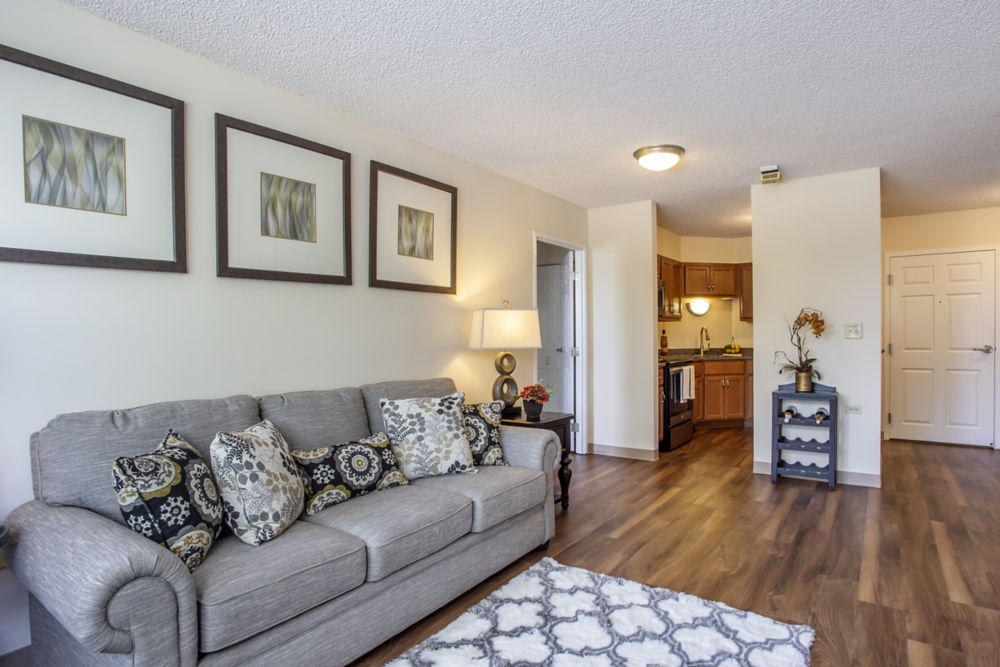 Hawthorne Lakes Apartment Living Room