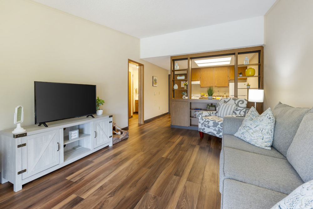 Apartment Living Room