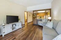 Apartment Living Room