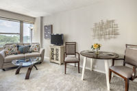 Apartment Living Room