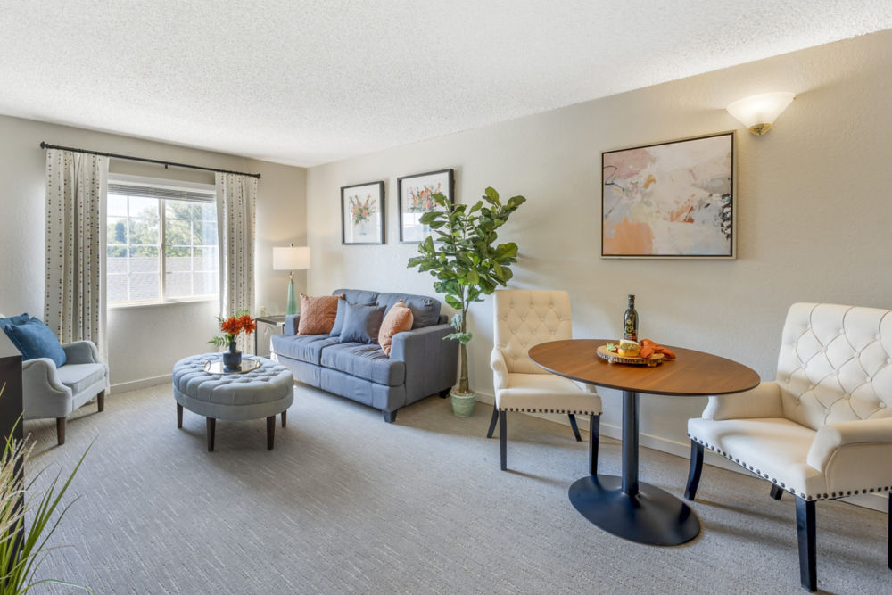 Apartment Living Room