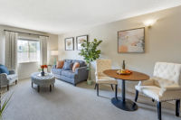 Apartment Living Room