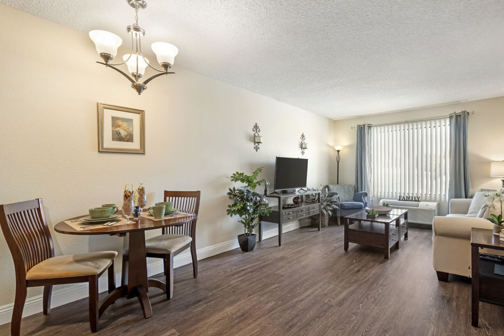 Apartment Living Room