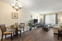 Apartment Living Room