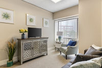 Apartment Living Room