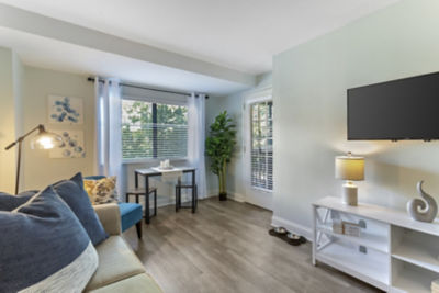Apartment Living Room