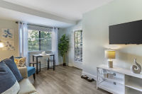 Apartment Living Room