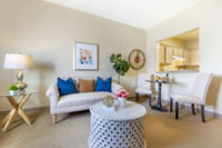 Apartment Living Room