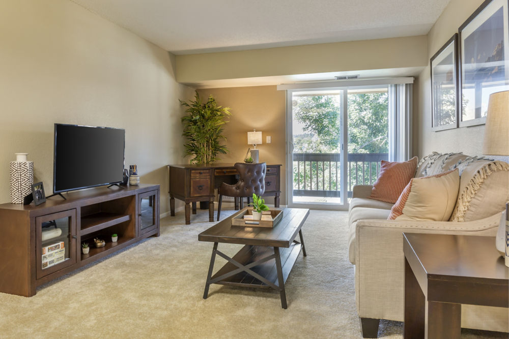 Apartment Living Room