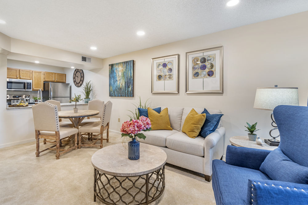 Apartment Living Room