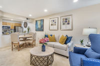 Apartment Living Room