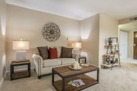 Apartment Living Room