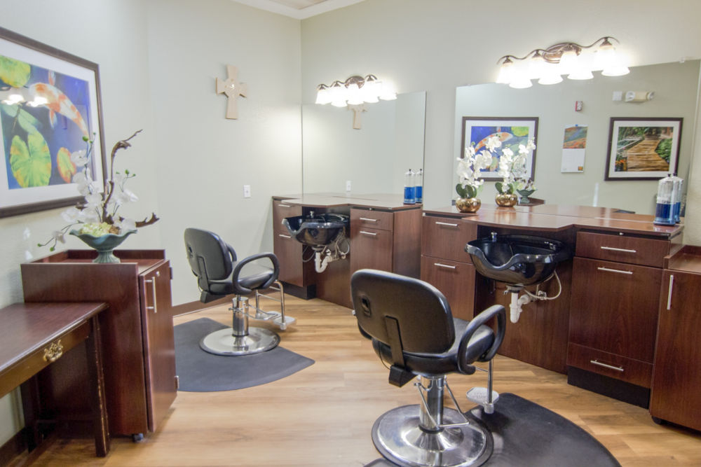 Meridian Ms Salon