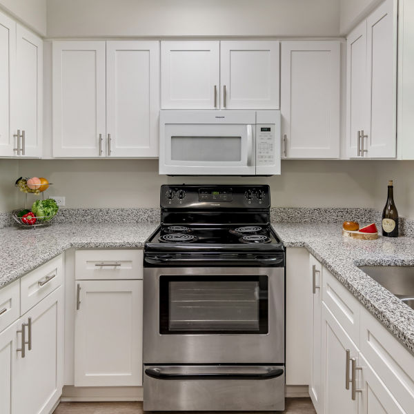 Brookdale Newnan Apartment Kitchen