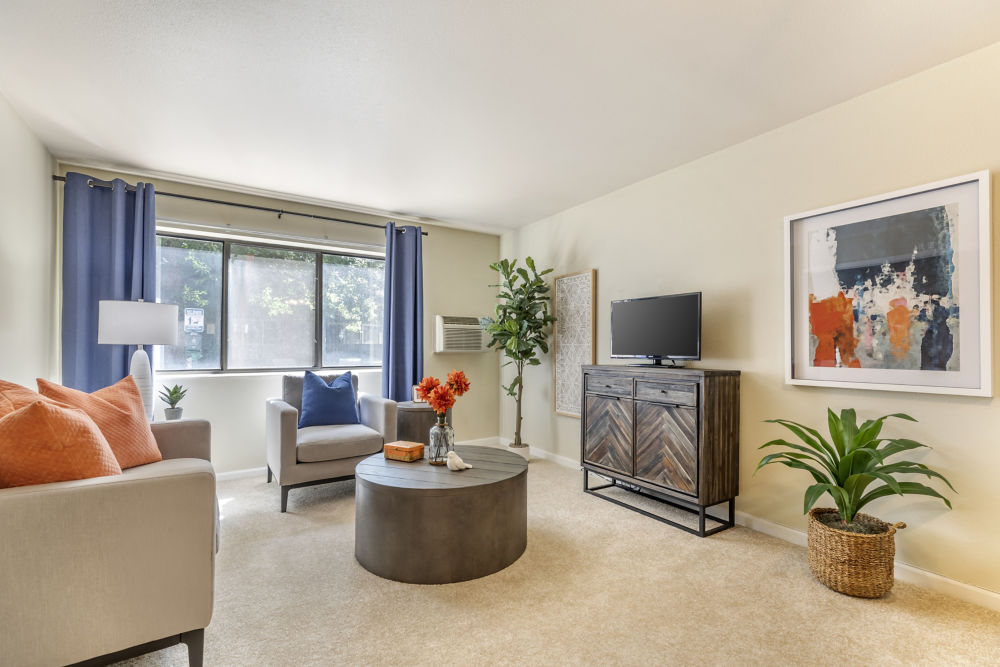 Apartment Living Room