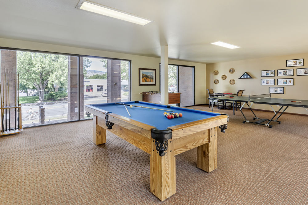 Recreation Room