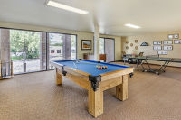 Recreation Room