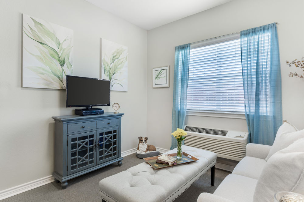 Apartment Living Room