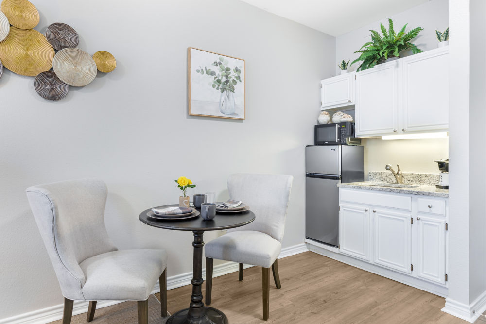 Apartment Kitchenette