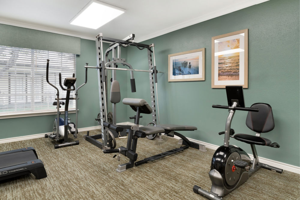 Physical Therapy