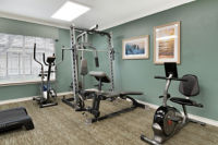Physical Therapy