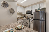 Apartment Kitchen