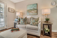 Apartment Living Room