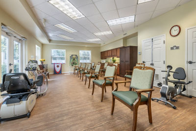 Physical Therapy
