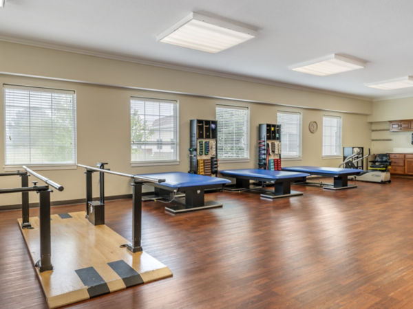 physical therapy