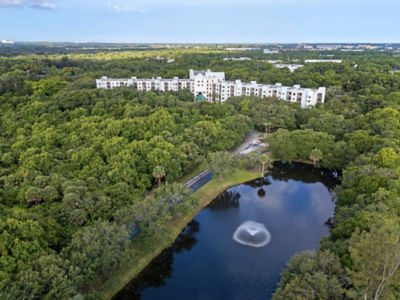 Aerial View Lake