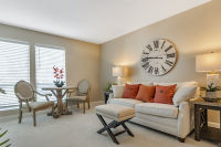 Apartment Living Room