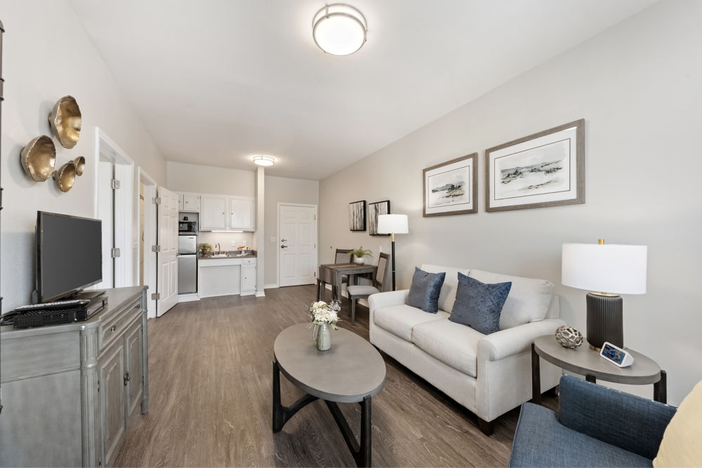 Apartment Living Room