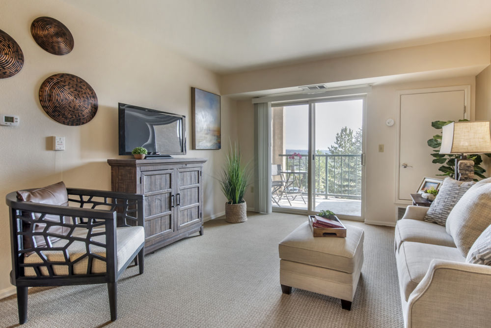 Apartment Living Room