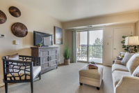 Apartment Living Room