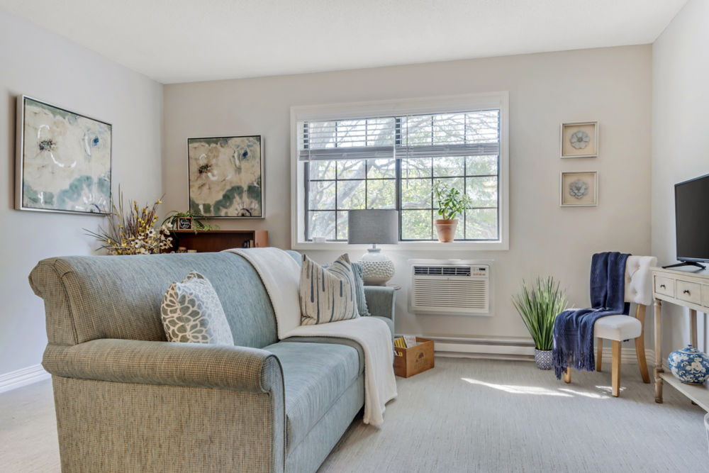 Apartment Living Room