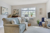 Apartment Living Room