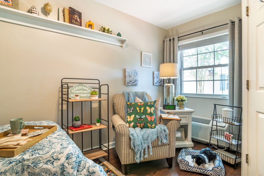 Apartment Living Room