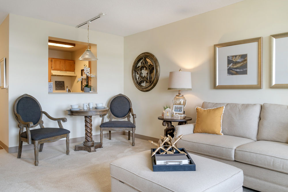 Apartment Living Room