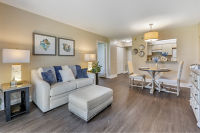 Apartment Living Room