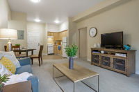 Apartment Living Room