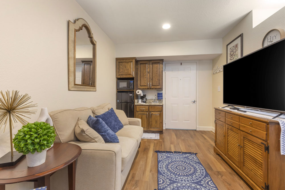 Apartment Living Room