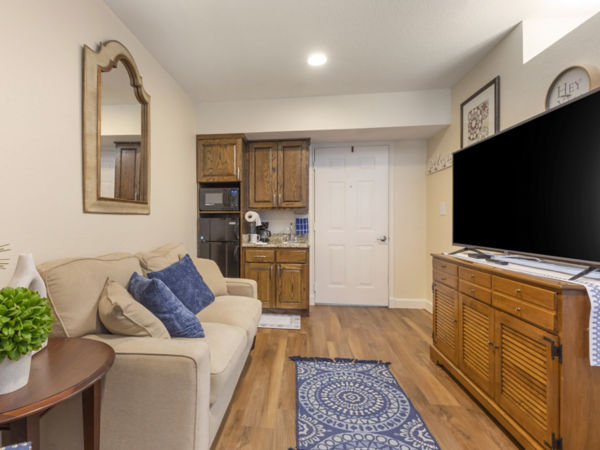 Brookdale Stonebridge Ranch Apartment Living Room