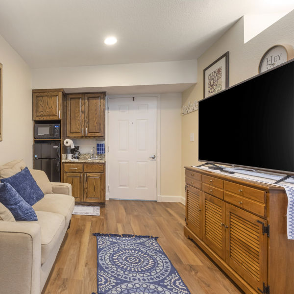 Brookdale Stonebridge Ranch Apartment Living Room