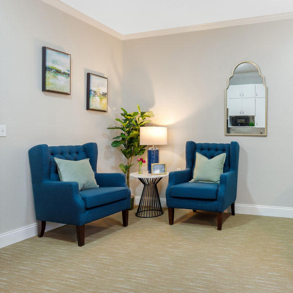 Brookdale Summer Ridge Apartment Living Room
